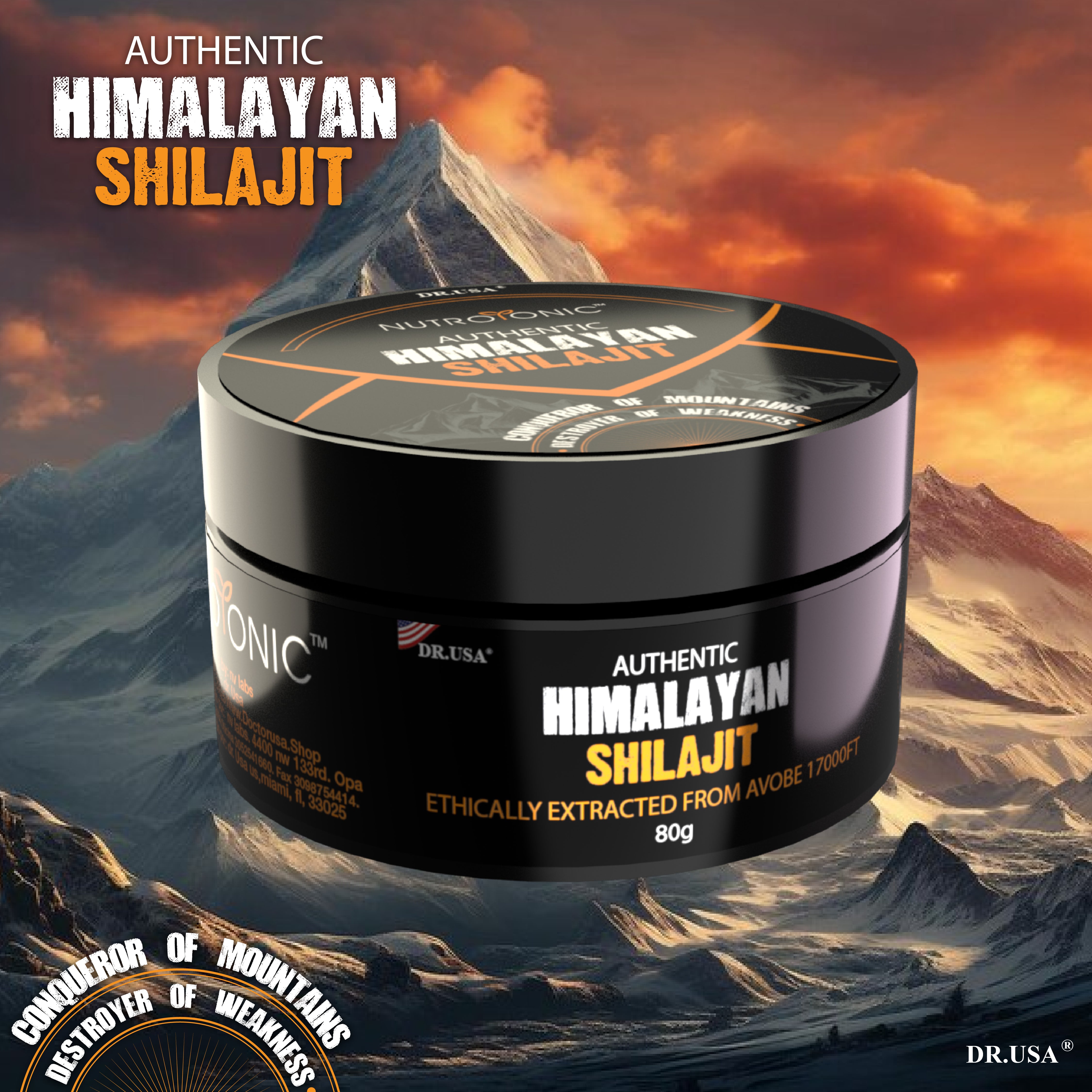 Shilajit Original Del Himalaya 80Gr